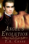 angelsevolutionsm angelsevolutionsm